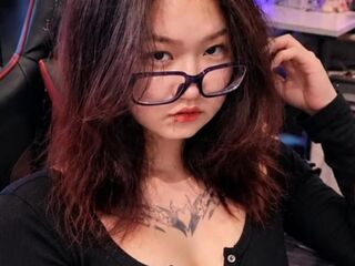 Tishaoyervides
